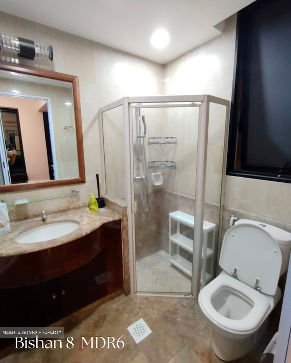 Bishan 8 (D20), Condominium #615545771
